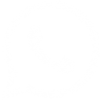 page whatsapp icon