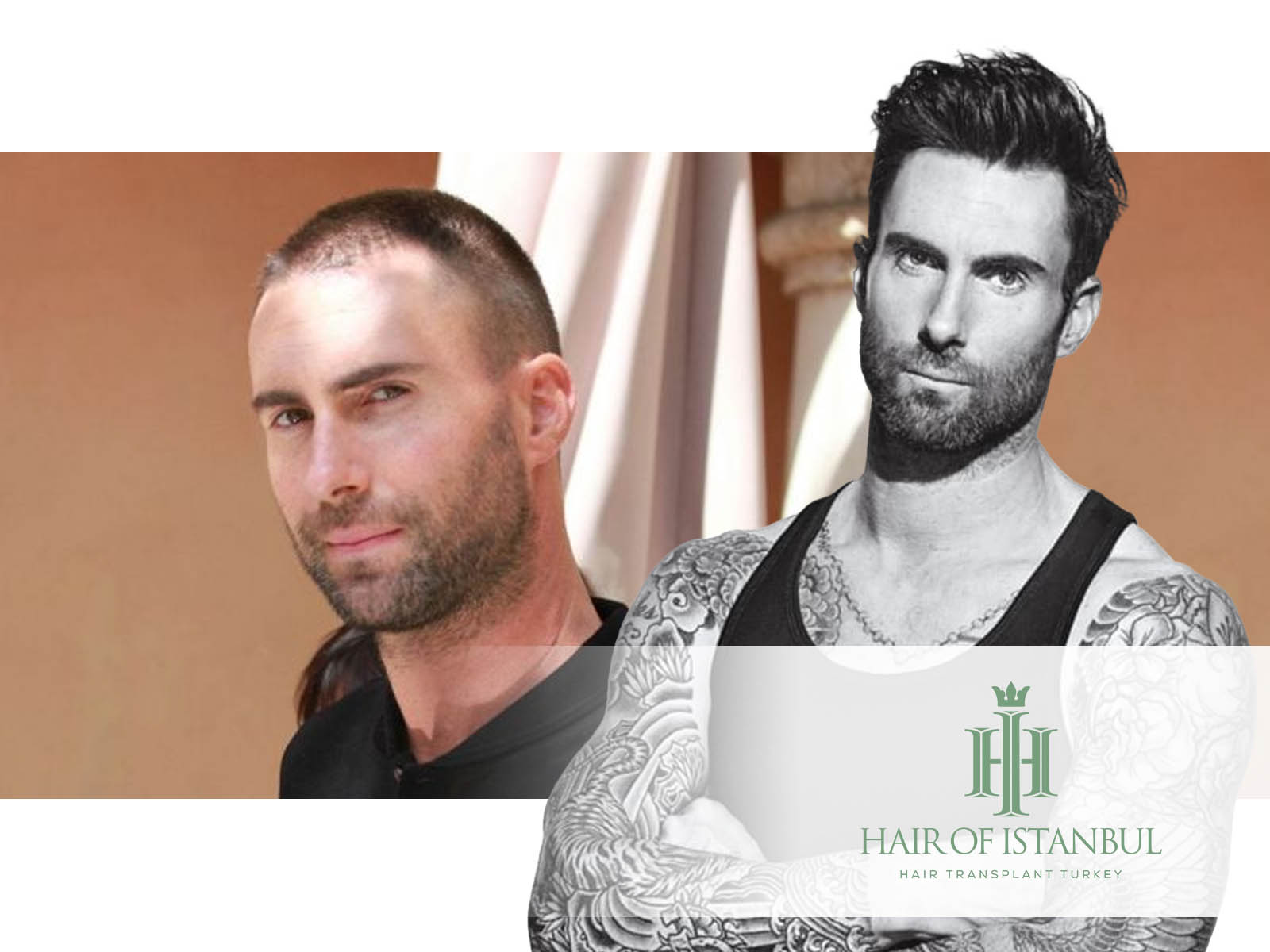 Adam Levine's Blue Hair Is the Latest in a Long Line of Bold Celebrity Hair Changes - wide 3