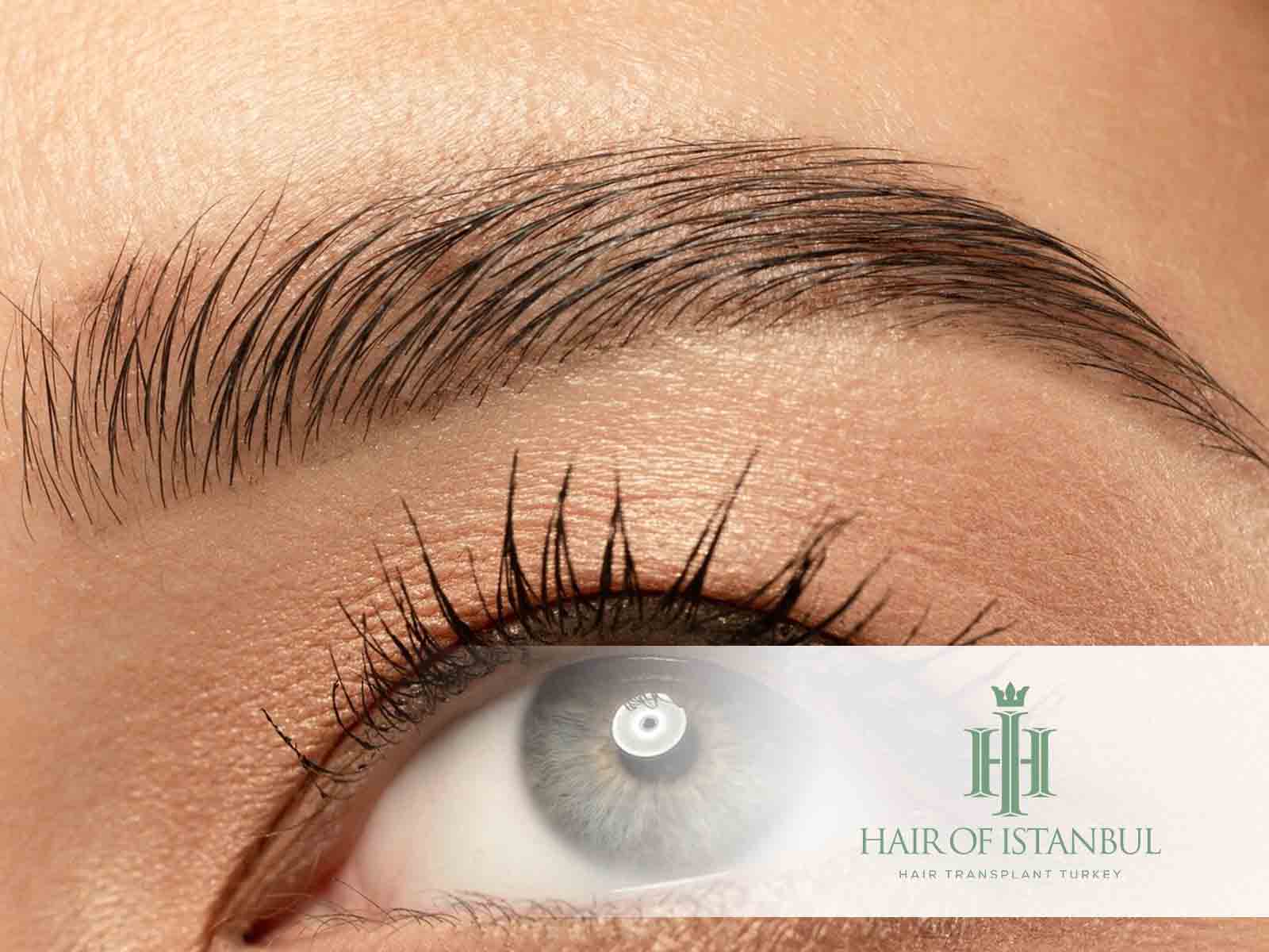 ¿Cómo recuperar los pelos de las cejas de forma rápida?