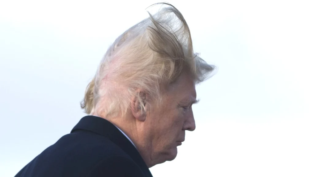 donald trump hair flying