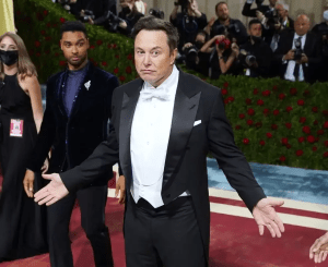 Greffe de cheveux à Elon Musk 