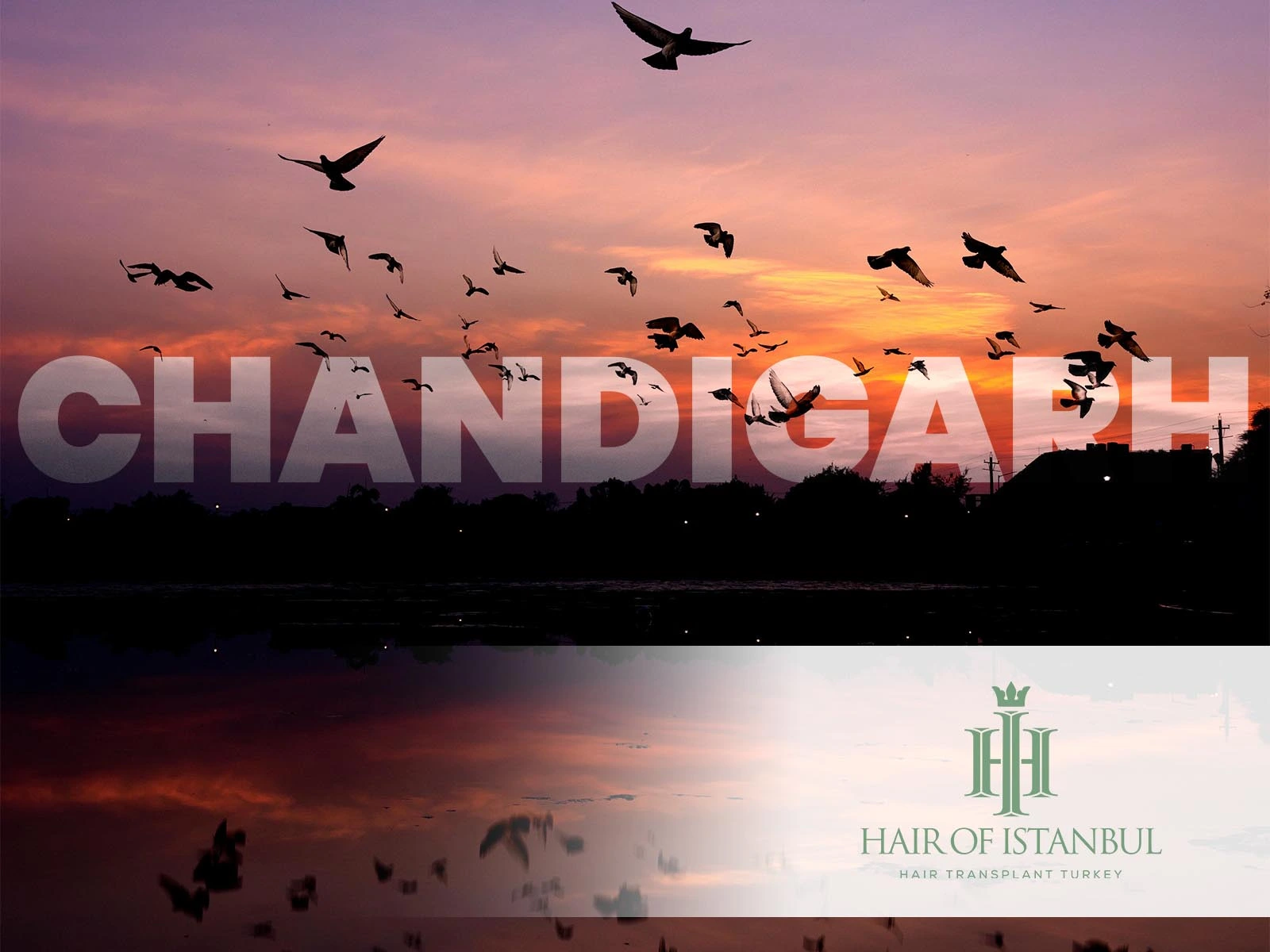 Hair Transplant India Chandigarh: Why More Are Choosing Istanbul Instead