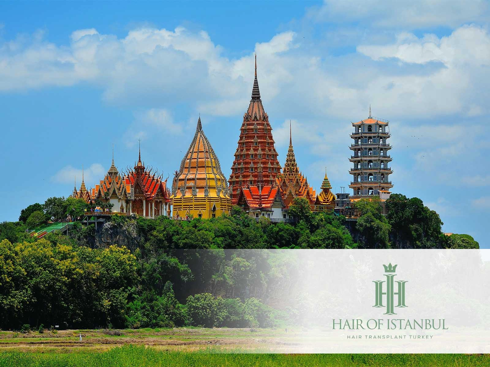 Hair Transplant Thailand vs Turkey: Which Destination Truly Delivers?