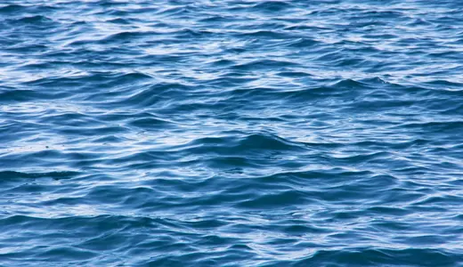 The Impact of Sea Water on the Scalp After Transplantation