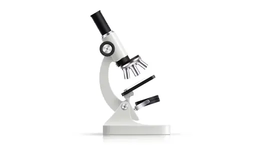 Why Pre-Hair Transplant Follicle Analysis Is a Critical Step