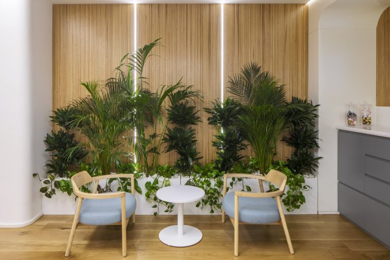 Clinica de implant de păr din Istanbul 17 Hair of Istanbul — Cafenea